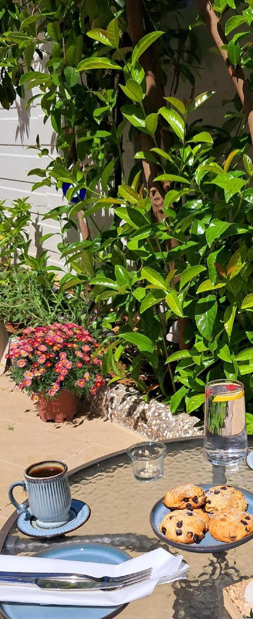 Oregano *